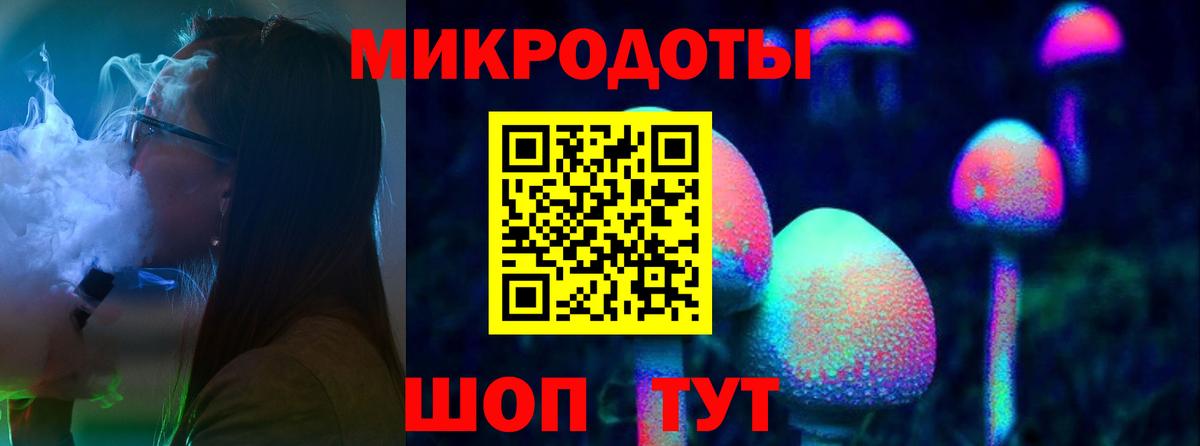 Великие Луки  Псилоцибиновые грибы Psilocybe  Вход с VPN 